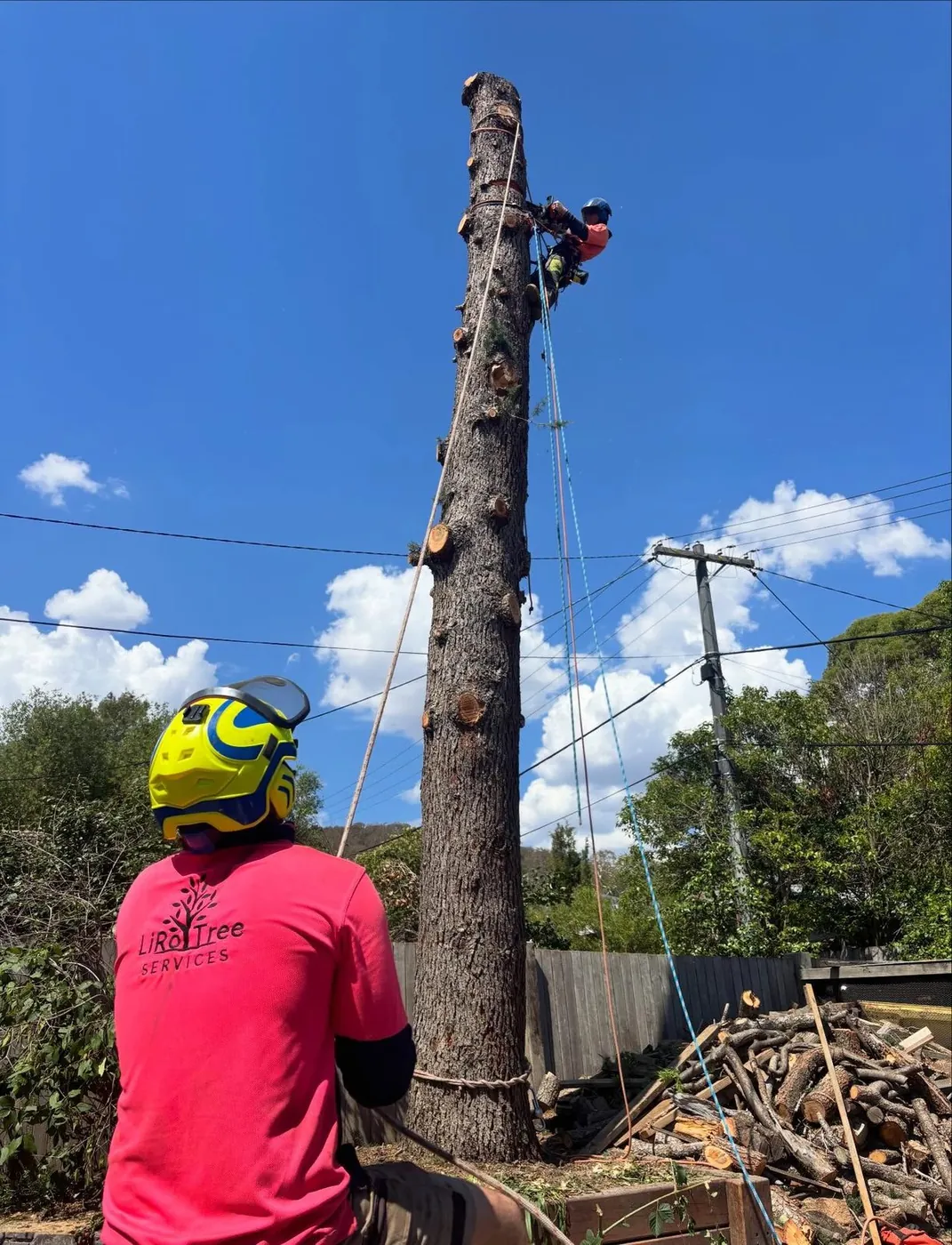 LiRo climber rigging a spar for a sectional removal beside a house in Canberra