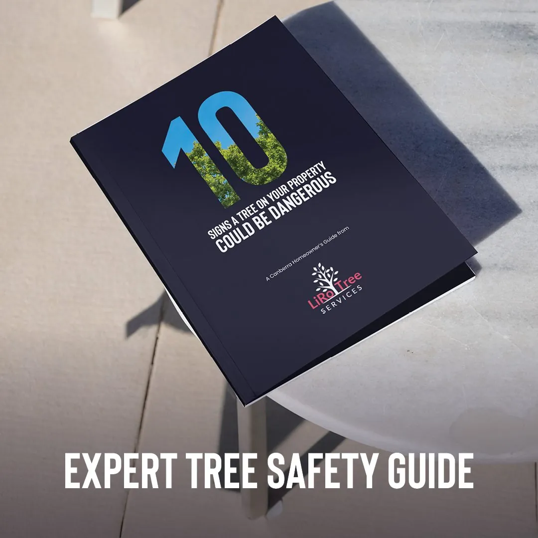 Cover of the LiRo 10 signs tree safety guide